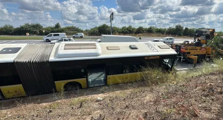 İstanbul'da İETT otobüsü sulama kanalına devrildi