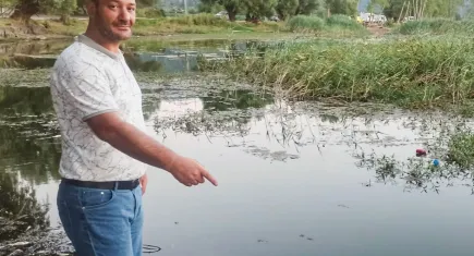 İzmir Gölcük Gölü'nde yüzlerce balık ölü olarak kıyıya vurdu