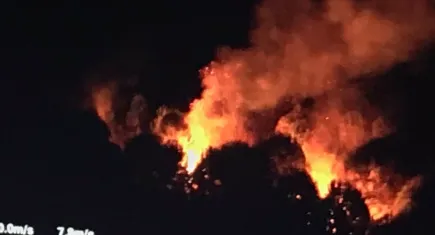 Sakarya'da ormanlık alanda çıkan yangın kontrol altına alındı!