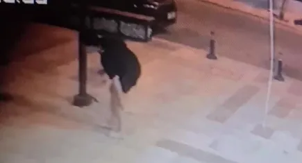 Antalya'da sokak köpeği saldırısı: Genç kadın hastaneye kaldırıldı