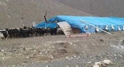 Çobanlar arasında kavga ölümle bitti