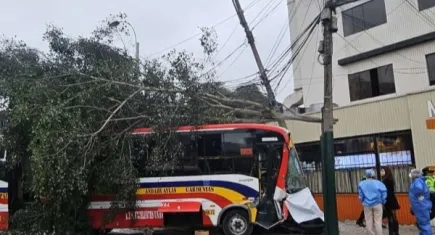 Peru’da kontrolden çıkan otobüs yaya geçidine daldı: 1 ölü, 31 yaralı