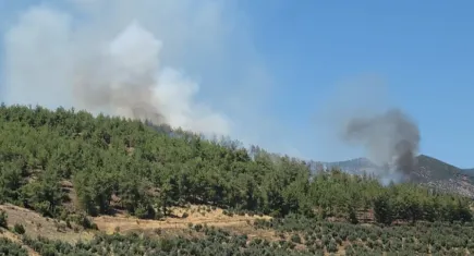 Hatay'da korkutan orman yangını