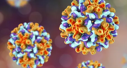 Türkiye genelinde Hepatit B'de başarılı koruma