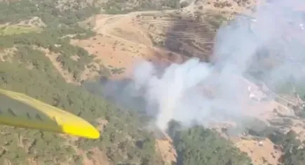 İzmir'de orman yangınına hava ve kara ekipleriyle müdahale devam ediyor
