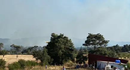 Çanakkale'de orman yangını!