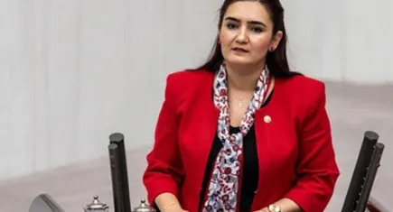 İzmir vekili Roman vatandaşları meclise taşıdı: Bebek ölümleri 2 kat fazla