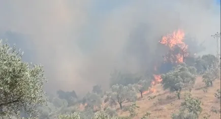  Manisa'da Kırkağaç'ta orman yangını!