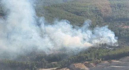 Muğla Milas'ta alevler yükseldi: Yanan bölgeye ekipler hızla ulaştı