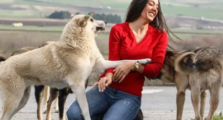 İrfan Önal: Yaşam hakkını ihlal eden yasayı kabul etmiyoruz