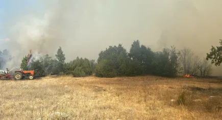 Kütahya'da orman yangını çıktı!