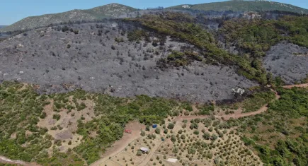 İzmir'de 7 ayda 107 yangın