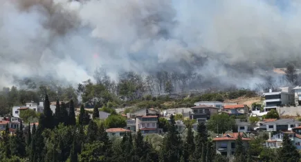 İzmir haber: Urla ve Çeşme'de orman yangını