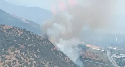 Milas’ta zirai alan yangını
