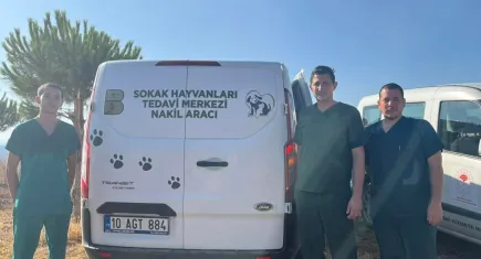 Erdek'teki yangında yaralanan hayvanlara anında müdahale