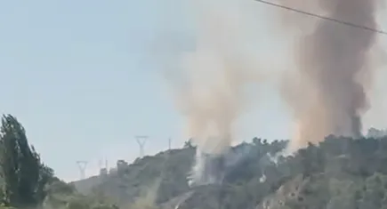 Köyceğiz-Ortaca karayolunda orman yangını