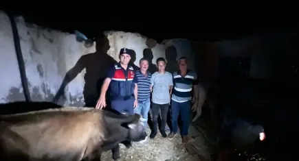 Denizli'de kayboldu,Aydın'da bulundu!