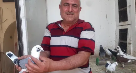 Güvercin tutkusunu meslek haline getirdi