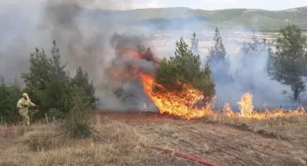 Denizli'de makilik alanda çıkan yangın kontrol altına alındı