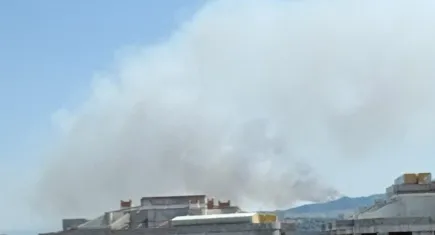 Aydın’da orman yangını