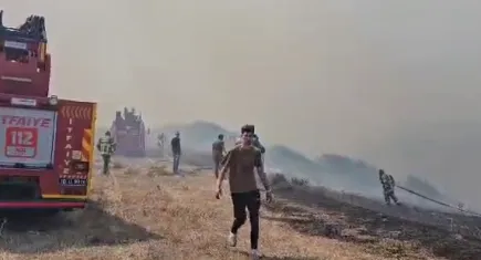Balıkesir'de orman yangını
