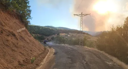 Bingöl'de orman yangını!
