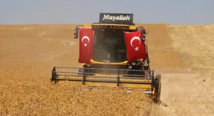 Safir bitkisiyle kuraklığın önüne geçilmesi hedefleniyor