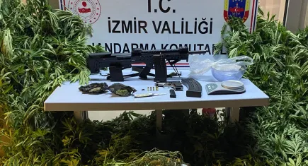 Zeytinlik alanını uyuşturucu tarlasına çeviren zanlı yakalandı