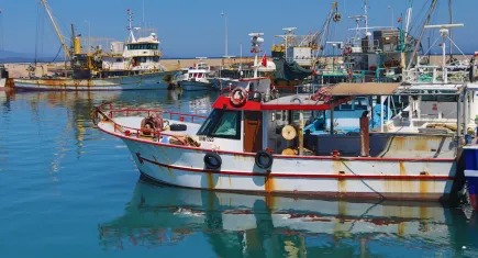 İzmir’de balıkçılar için geri sayım başladı!