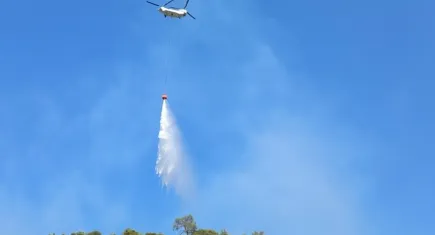 Manisa’daki orman yangınına müdahale devam ediyor