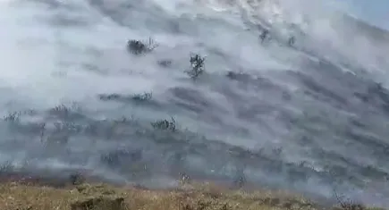 Tunceli’de otluk alanda yangın