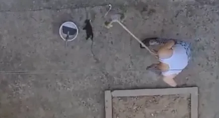 Manisa'da dehşet: Kedileri fırça sapıyla öldürdü
