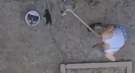 Yavru kedileri süpürge sapıyla öldürmüştü, tutuklandı