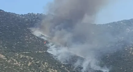 Aydın'da makilik alanda yangın çıktı!