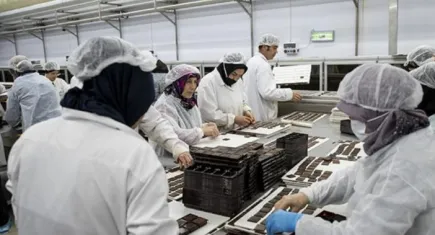 İSİG Meclisi gıda işkolunda yaşanan işçi ölümlerine dikkat çekti!