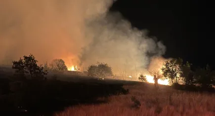 Manisa'da makilik alanda yangın: 35 dönüm zarar gördü