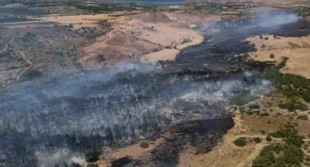 Bozcaada'daki orman yangını kontrol altına alındı