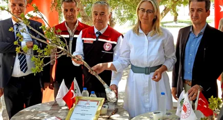 Çeşme'deki sakız ağaçlarında hasat hazırlıkları devam ediyor