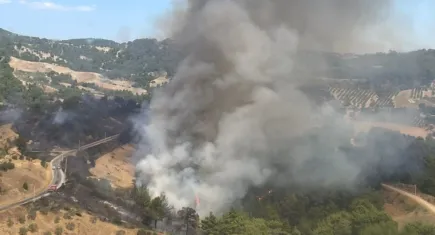 Manisa'da orman yangını