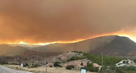 Bolu’da orman yangını: Eskişehir il sınırına dayandı