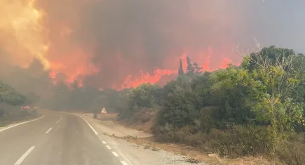 Çanakkale'deki yangın rüzgarın etkisiyle büyüyor!