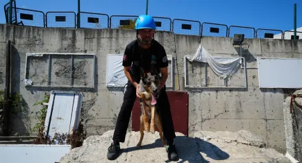 Arama-kurtarma köpeği Shollie afetlere zorlu eğitimlerle hazırlanıyor
