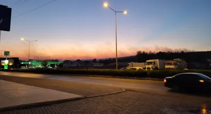 Aydın’da korkutan yangın: Makilik alanda çıktı, ormana sıçradı