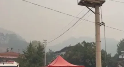 Bolu'da orman yangını: 490 kişi tahliye edildi!