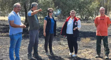 Çanakkale'de orman yangının ardından hasar tespit çalışmaları başladı