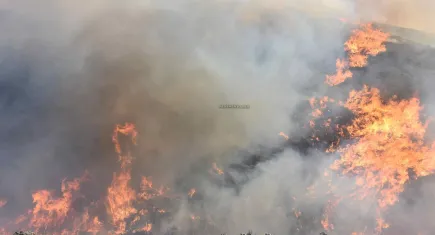 Pehlivan'dan gurur mesajı: Menemen MAKUR ekibiyle yangınla mücadelede