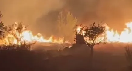 Kemalpaşa’da çıkan yangın kontrol altına alındı