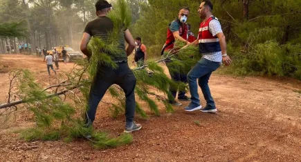 Muğla'daki yangınlar çiftçiyi de vurdu: Hayvanlar tahliye ediliyor zeytinlikler zarar gördü