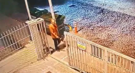 İstanbul’da zihinsel engelli adama sokak köpekleri saldırdı