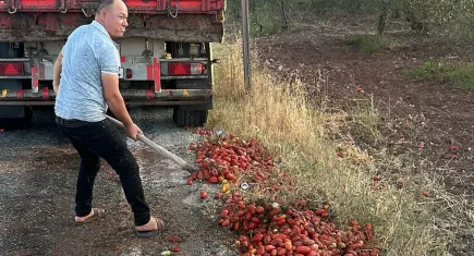 İzmir'deki yangını söndüren itfaiye erleri, Manisa'da yola saçılan domatesleri temizledi